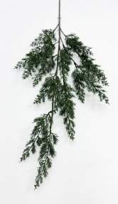 картинка Можжевельник высока ветка от магазина KALINA