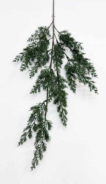 картинка Можжевельник высока ветка от магазина KALINA