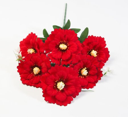 Георгин "Ермак" 6 цветков