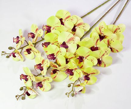 Ветка орхидеи 17 искусственная от магазина KALINA являющийся официальным дистрибьютором в России 