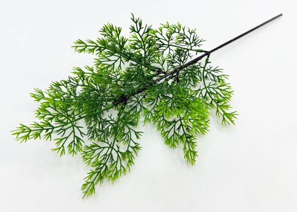 картинка Туя "Летняя пора" от магазина KALINA