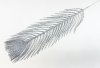 Перо павлина серебро