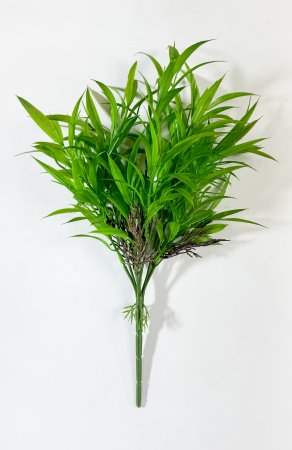 картинка Бамбук с корешками от магазина KALINA