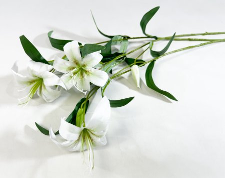 Лилия "Неженка" белая