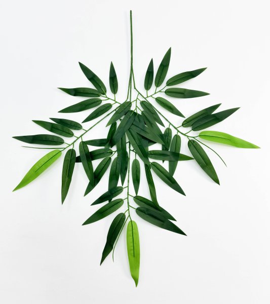 картинка Бамбук лист от магазина KALINA