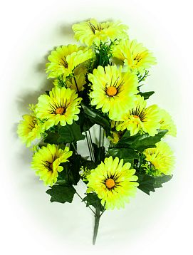 Букет ромашек "Реснички". 13 веток 13 цветков от магазина KALINA являющийся официальным дистрибьютором в России 