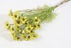 Букет мелкой желтой космеи (3 ветки)