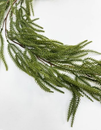 Лиана хвойная Тсуга канадская 200 см