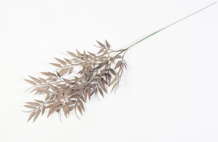 Ветка бамбука осенняя