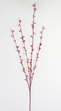 Ветка с мелкими почками