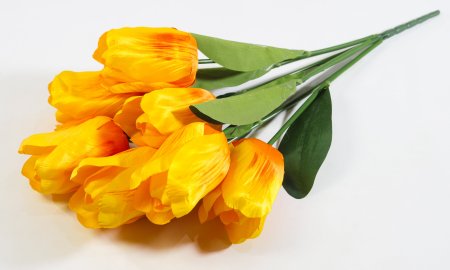 Тюльпаны крупные 7 цветков