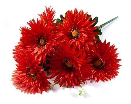 Букет астры "Игла" 7 веток 7 цветков от магазина KALINA являющийся официальным дистрибьютором в России 