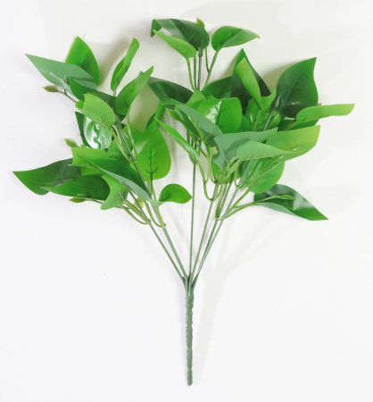 картинка Эпипремнум 7 веток от магазина KALINA