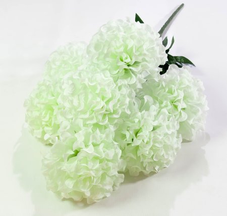 Шафран махровый 7 веток