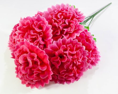 Шафран "Звезда великан"