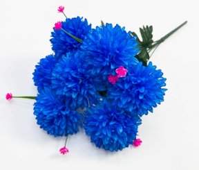 Хризантема "Гречанка" 7 цветков