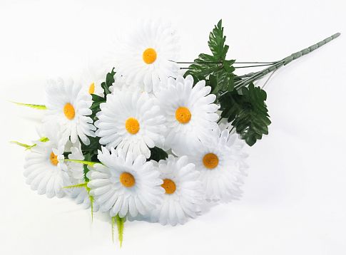 Ромашка "Степь" 12 цветков от магазина KALINA являющийся официальным дистрибьютором в России 