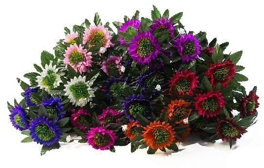 Астра "Ростовчанка" 6 цветков от магазина KALINA являющийся официальным дистрибьютором в России 