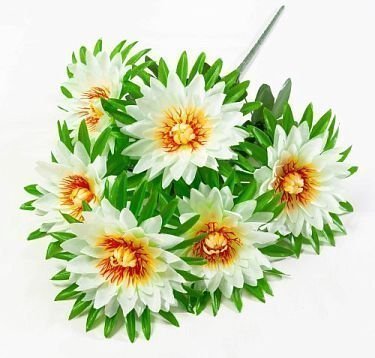 Астра "Лимбо" 6 цветков от магазина KALINA являющийся официальным дистрибьютором в России 
