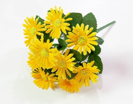 Букет ромашек 10 веток