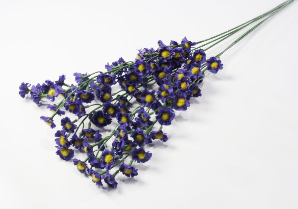 Ветка ромашек "Суприм мелкая"