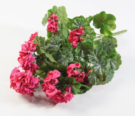 Ветка герани малиновая