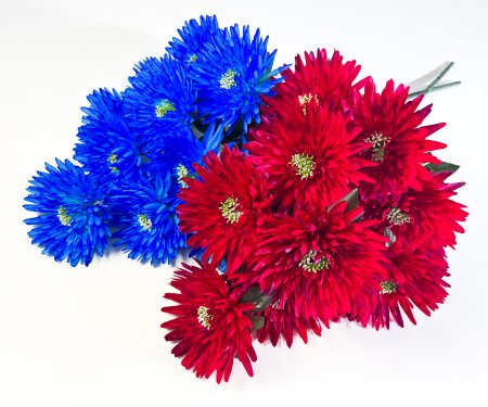 Астра "Супер гигант" 13 цветков