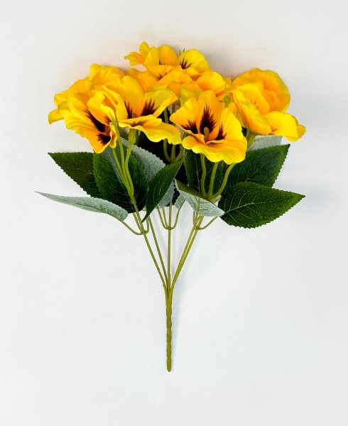 Фиалка "Крылья бабочки" 10 цветков