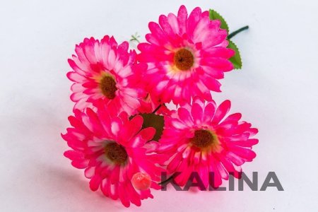 Букет ромашки "Аэлита" 5 веток 5 цветков