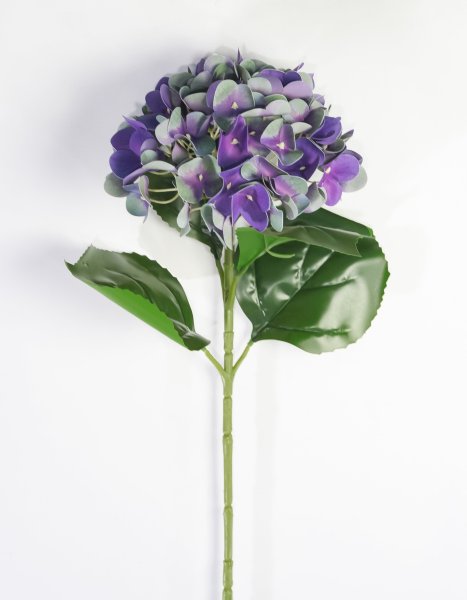 Гортензия глубокий фиолетовый