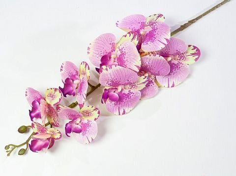 Ветка орхидеи 36 от магазина KALINA являющийся официальным дистрибьютором в России 