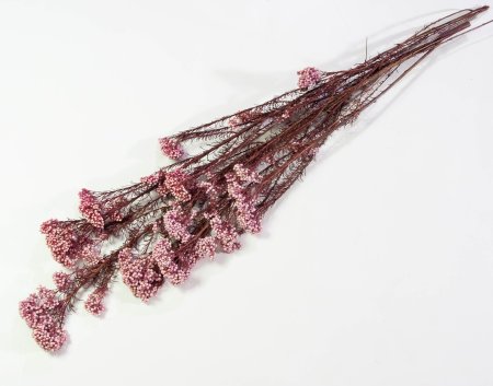 c0bb6c8b8d1ae0fc765f88e1001029c8