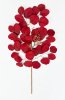 картинка Ветка "Мелодия" красная от магазина KALINA