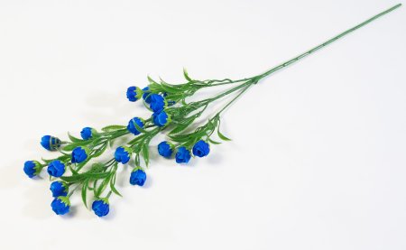 Ветка Пицея высокая синяя