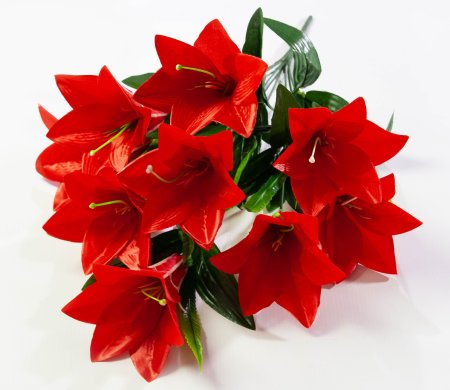 Лилия "Алика" 9 цветков