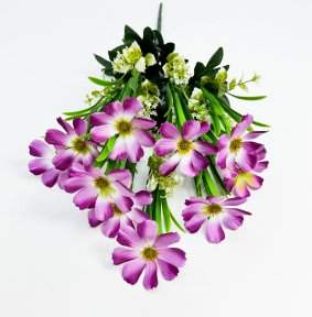 Космея "Алёшина" 10 цветков