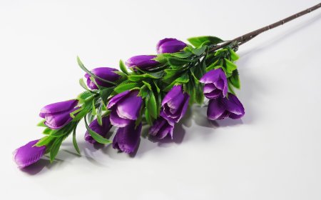 Ветка с крокусами (желтые)