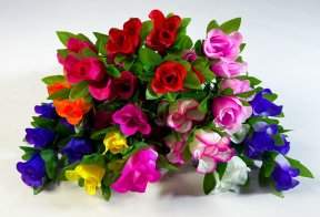 Роза Кики 5 цветков