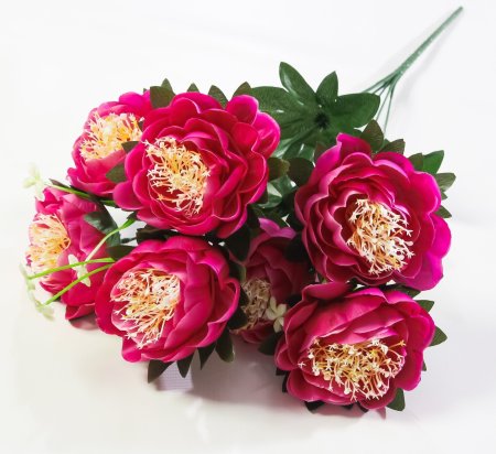 Пион "Миледи" 7 цветков