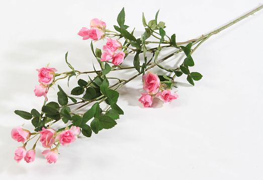 Кустовая роза светло-розовая от магазина KALINA являющийся официальным дистрибьютором в России 
