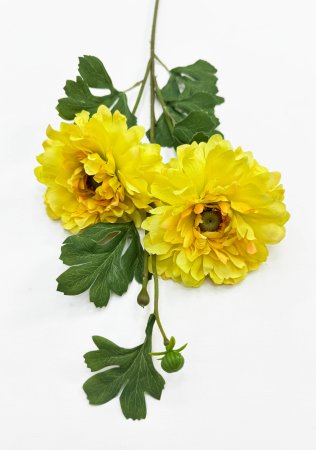 Георгин махровый желтый