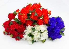 Астра Павлин 15 цветков 6 бутонов