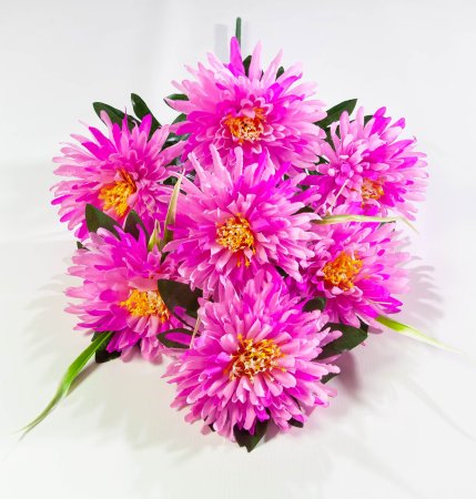 Астра "Бельгийская" 7 цветков