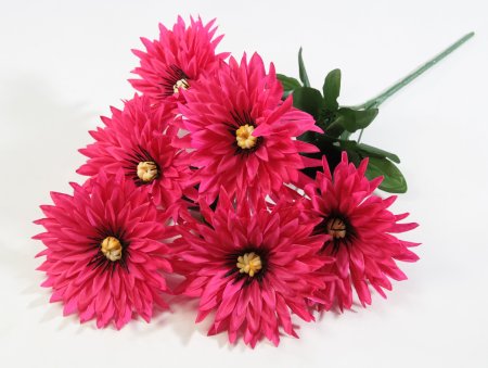 Букет астры " Краб"