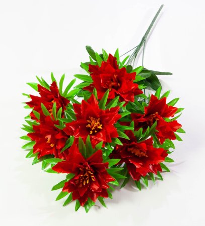 Лилия 7 цветков