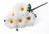 Ромашка "Белый ковер малая"