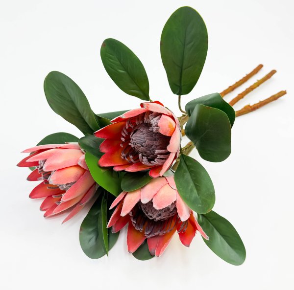 Протея артишоковая "Мадиба" оранжевая