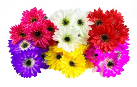 Астра Абба 6 цветков