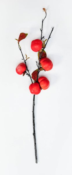 Хурма 5 плодов