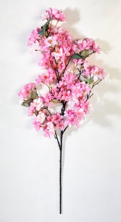 Ветка яблони "Малинка" розовая